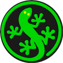 Gecko Fitness