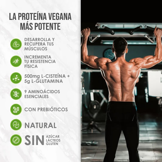 Supra Protein - Ecoland (VAINILLA) 1200g